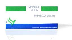 MEDULA OSEA